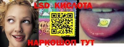 a pvp Славгород