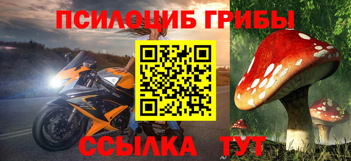 Галлюциногенные грибы ЛСД  Галлюциногенные грибы GOLDEN TEACHER  Вход с VPN  Ноябрьск 