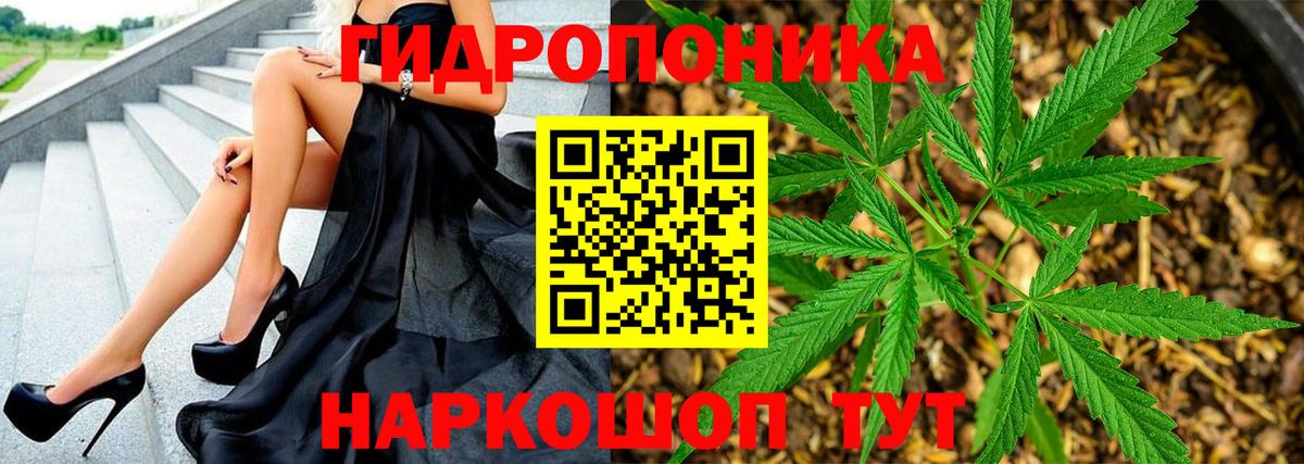 Ноябрьск  Бошки марихуана семена  Вход с VPN  Шишки марихуана ГИДРОПОН 